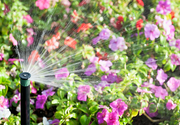 Why Your Sprinkler System Needs a Spring Start-Up