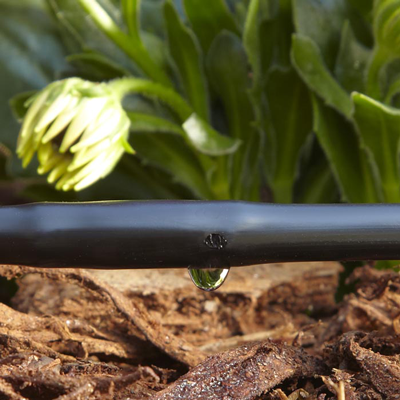 Save Time and Water with a Drip Irrigation System