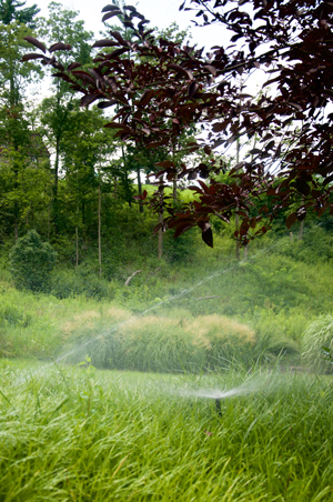 How to Choose the Best Lawn Sprinkler Contractor