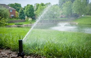 How a Smart Sprinkler Controller Makes Your Life Easier