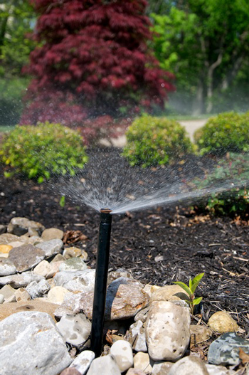Lawn Sprinkler System Summer Check-Up