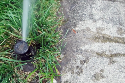 Has Your Lawn Sprinkler System Sprung a Leak?