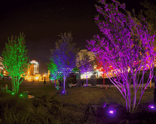 LED Landscape Lighting Brings Holiday Cheer with the Change of a Bulb