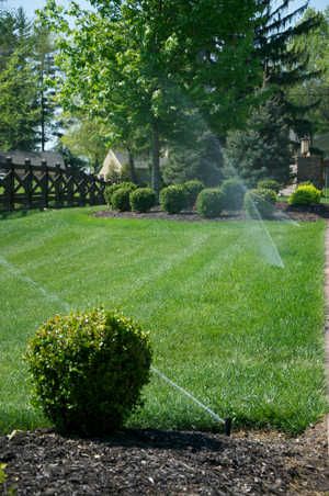 We Love Sprinkler Repair and Maintenance!