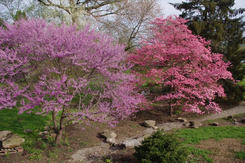 Road Trip: Visit these 5 Beautiful Gardens in Ohio