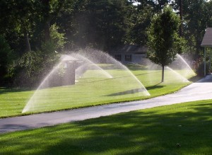 Irrigation system