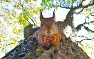 3 Ways to Celebrate Earth Day