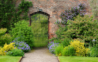5 Best Shrubs and Bushes for Cincinnati