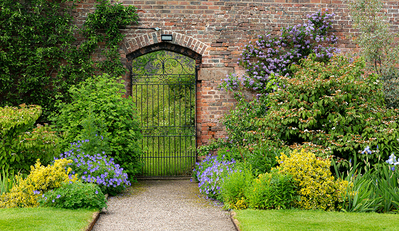 5 Best Shrubs and Bushes for Cincinnati