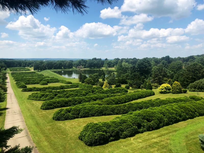 Road Trip: Visit these 5 Beautiful Gardens in Ohio