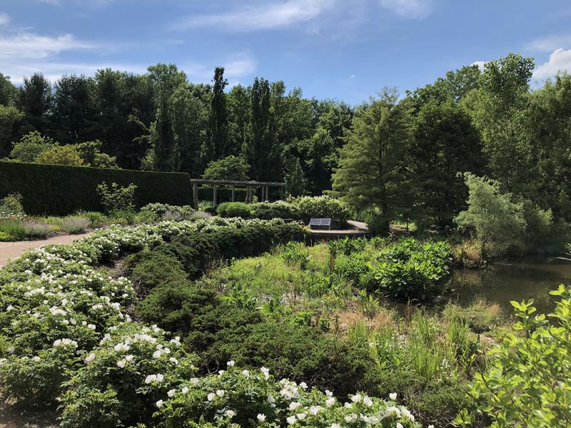 Road Trip: Visit these 5 Beautiful Gardens in Ohio