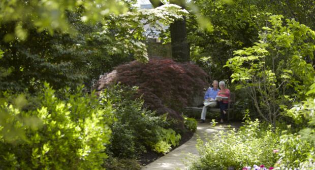 Road Trip: Visit these 5 Beautiful Gardens in Ohio