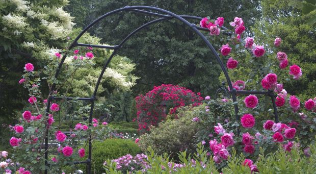 Road Trip: Visit these 5 Beautiful Gardens in Ohio