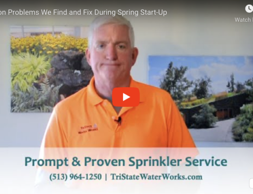 Irrigation Problems We Find and Fix During Spring Start-Up