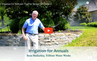 Irrigation for Annuals: Pop-Up Sprays are Perfect