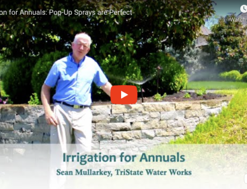 Irrigation for Annuals: Pop-Up Sprays are Perfect