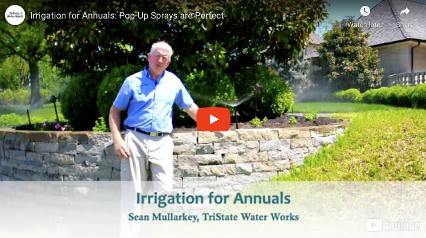 Irrigation for Annuals: Pop-Up Sprays are Perfect