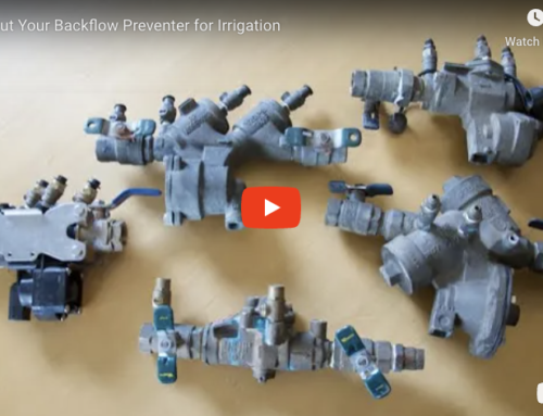 All About Your Backflow Preventer for Irrigation