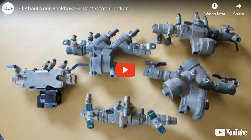 All About Your Backflow Preventer for Irrigation