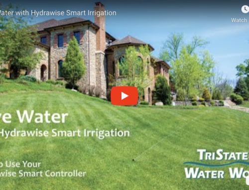 Save Water with Hydrawise Smart Irrigation