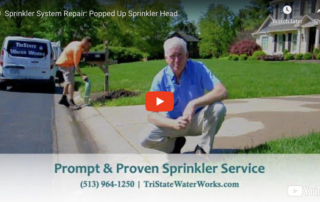 Sprinkler System Repair: Popped Up Sprinkler Head
