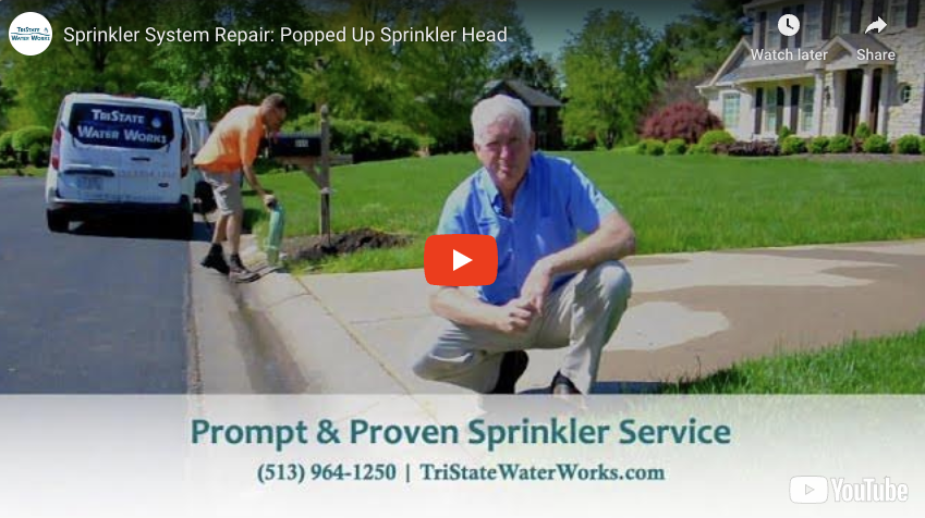 Sprinkler System Repair: Popped Up Sprinkler Head