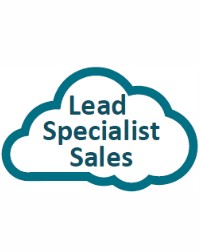 Career Ladder - Lead Sales Specialist