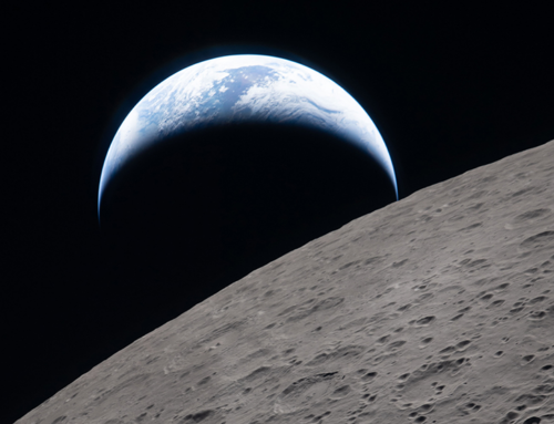 10 Tips for Saving Water Outdoors