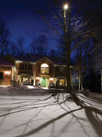 Entryway Landscape Lighting