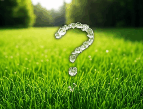First-Time Irrigation Owners: 6 Essentials You Need to Know