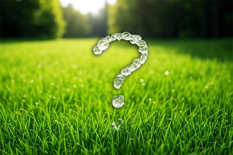 First-Time Irrigation Owners: What to Know