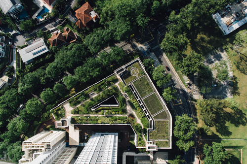 Green Roofs: Don't Skip the Irrigation