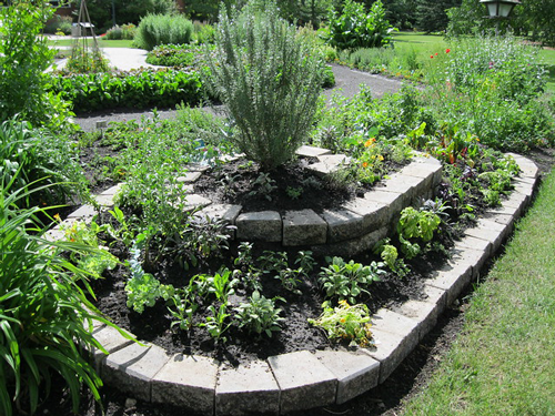 Herb Spirals: the Garden Trend that's Beautiful and Useful