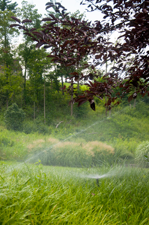 What it Takes to Become a Certified Lawn Irrigation Professional