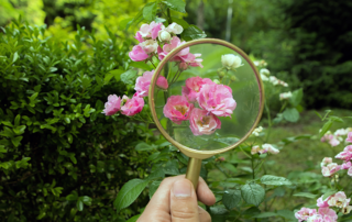 Irrigation Repair: How to Diagnose 6 Common Problems