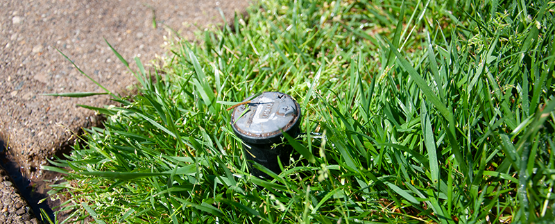 Irrigation Repair: How to Diagnose 6 Common Problems