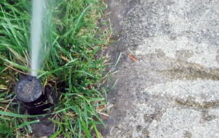 Sprinkler System Repair: 2 Kinds of Irrigation Leaks