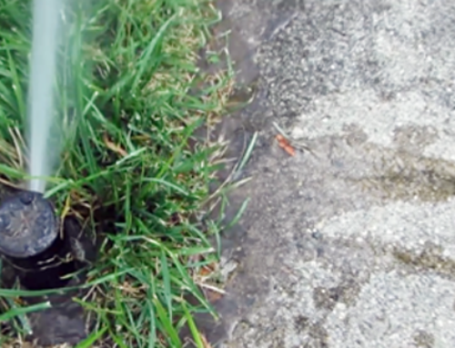 Sprinkler System Repair: 2 Kinds of Irrigation Leaks