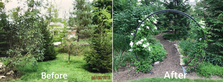 Lush Native Gardens Offer a Beautiful Habitat-- for Wildlife and for People!