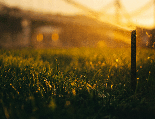Parts of an Irrigation System