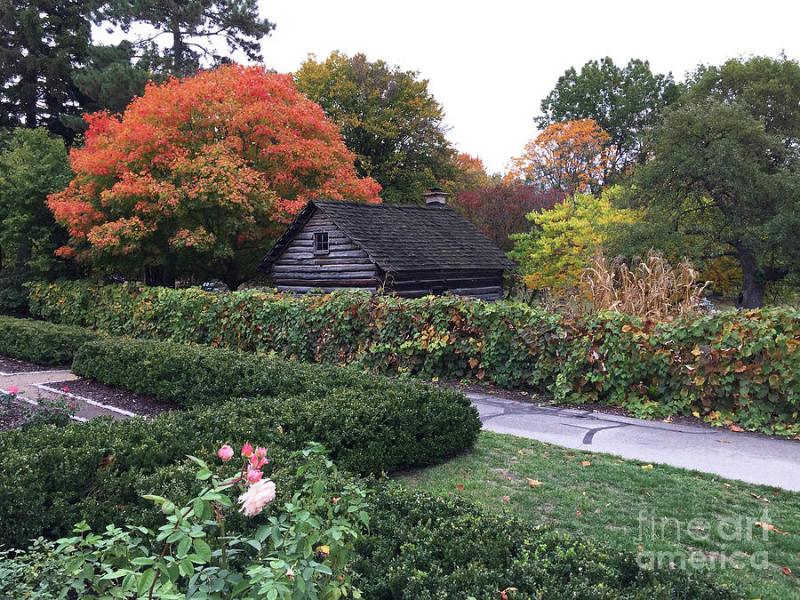 Road Trip: Visit these 5 Beautiful Gardens in Ohio