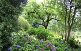 Plan Your 2026 Garden