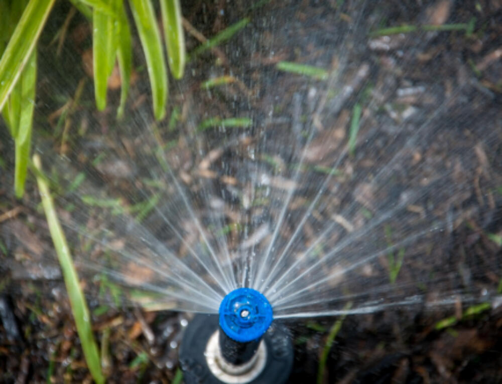 Spring Startup, Lawn Sprinkler Activation, System Tune Up. TriState