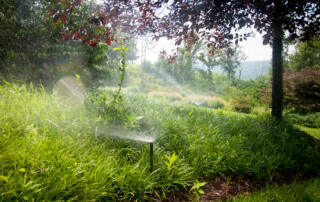 Smart Watering System: A Proven Innovation in Irrigation