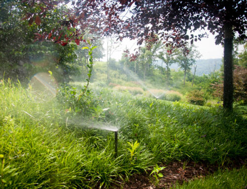 Smart Watering System: A Proven Innovation in Irrigation