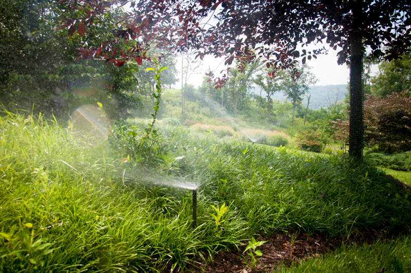 Smart Watering System: A Proven Innovation in Irrigation