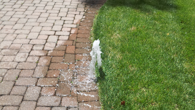 Three Signs Your Sprinkler System Has Sprung a Leak