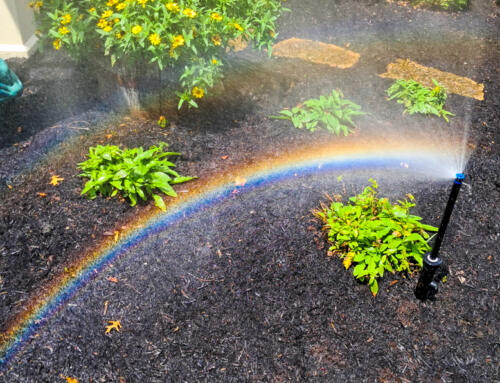 Sprinkler System Repair Starts with Spring Start-Up