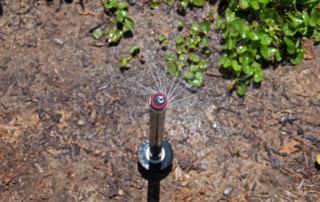 Popular Sprinkler System Upgrade: MP Rotator Nozzle