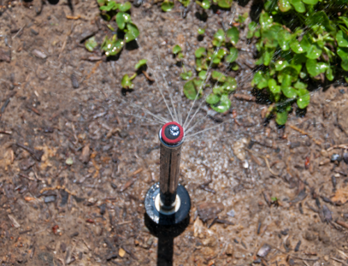 Popular Sprinkler System Upgrade: MP Rotator Nozzle